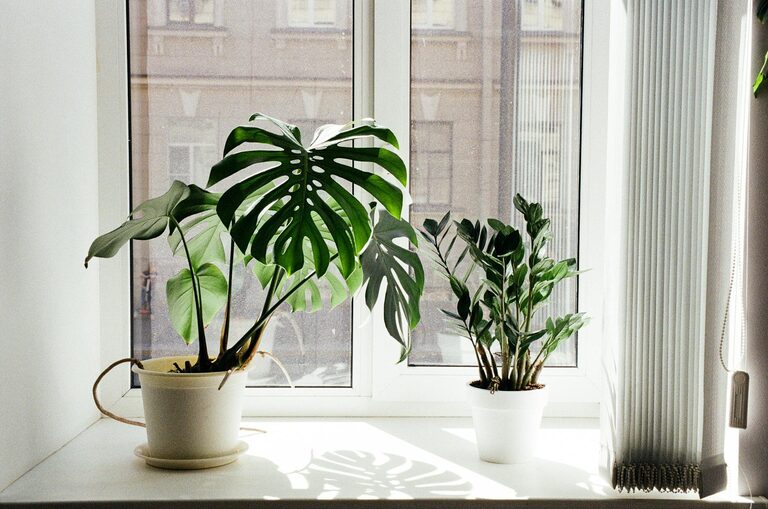 Simple Techniques to Improve Indoor Air Quality in Your Home